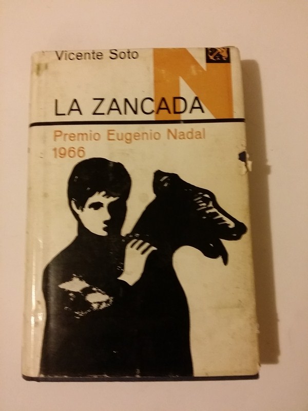 Resultat d'imatges de libros de vicente soto