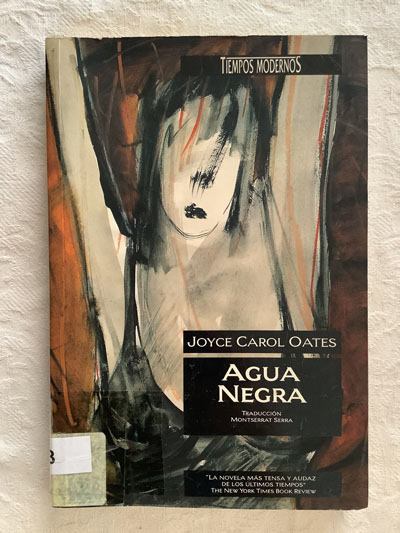 Agua negra