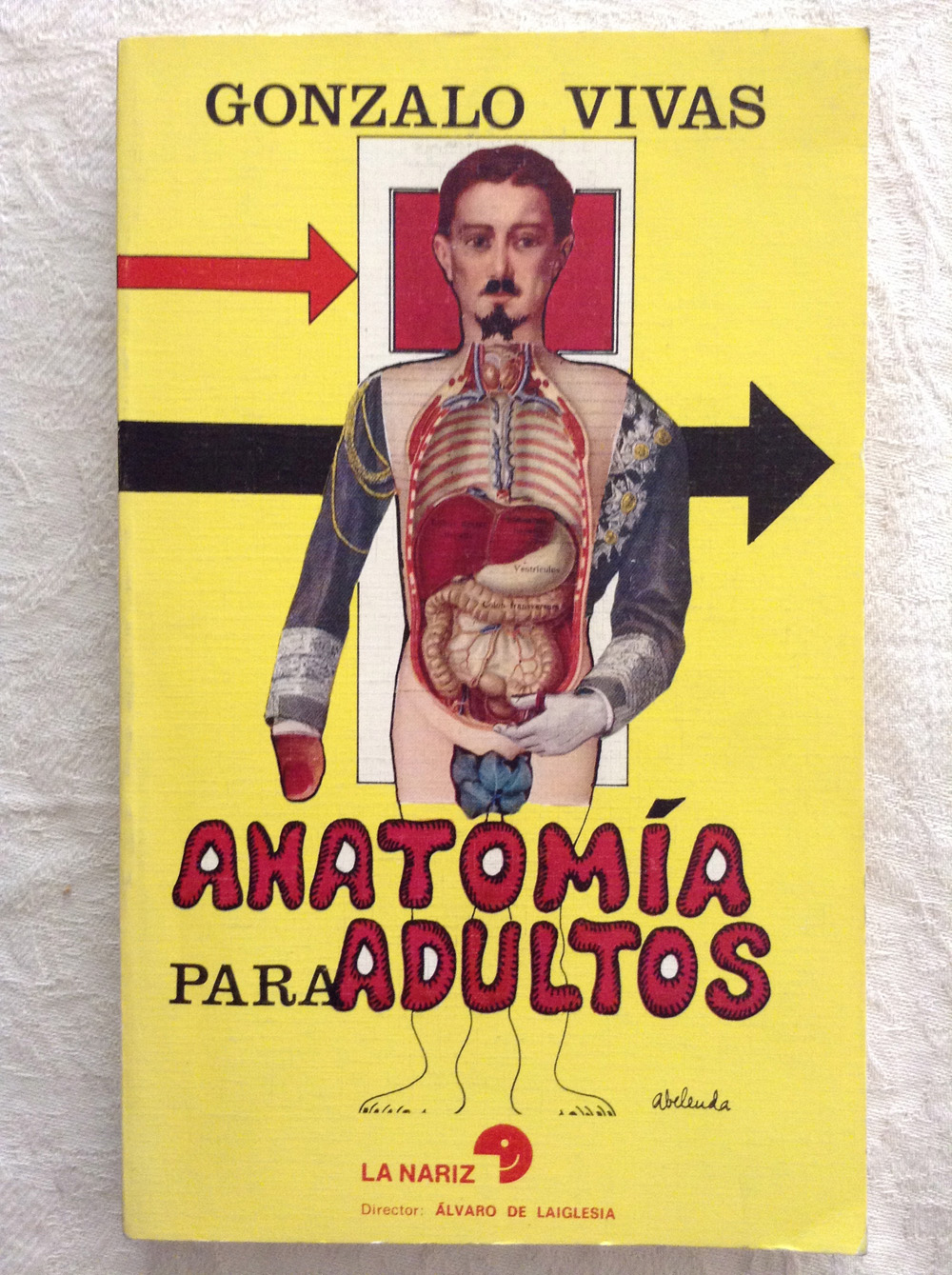 Anatomía para adultos