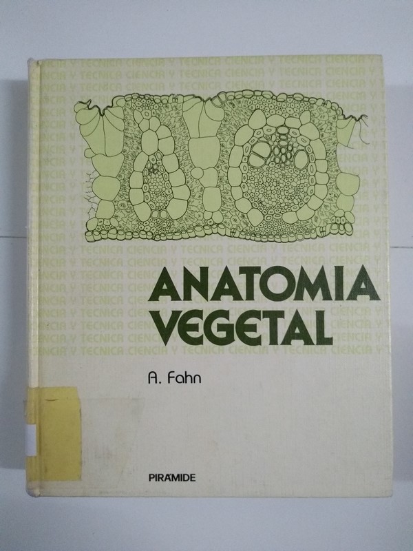 Anatomía vegetal