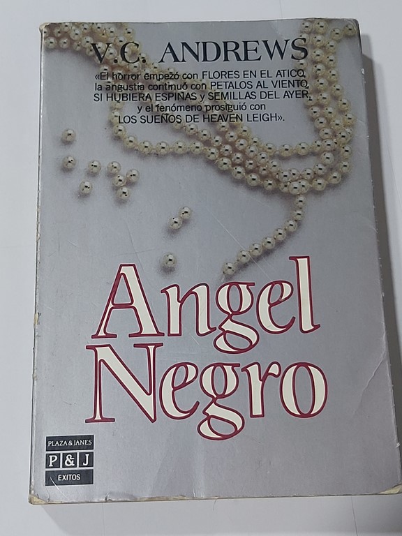 Angel negro