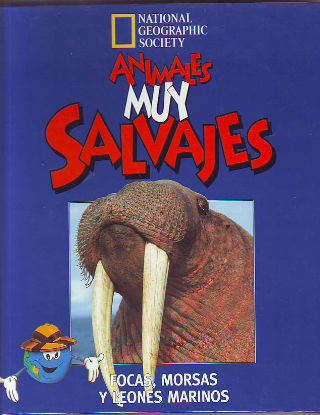 ANIMALES MUY SALVAJES. 12: FOCAS, MORSAS Y LEONES MARINOS.