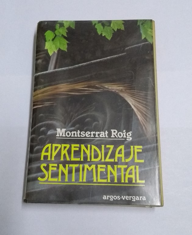 Aprendizaje sentimental