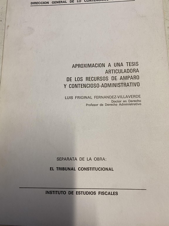 APROXIMACION A UNA TESIS ARTICULADORA DE LOS RECURSOS DE AMPARO Y CONTENCIOSO-ADMINISTRATIVOS.