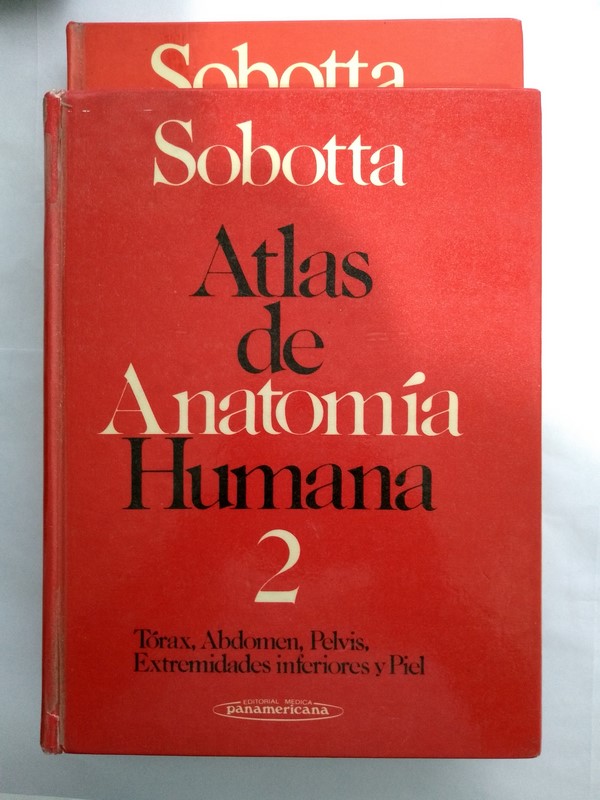 Atlas de Anatomía Humana.
