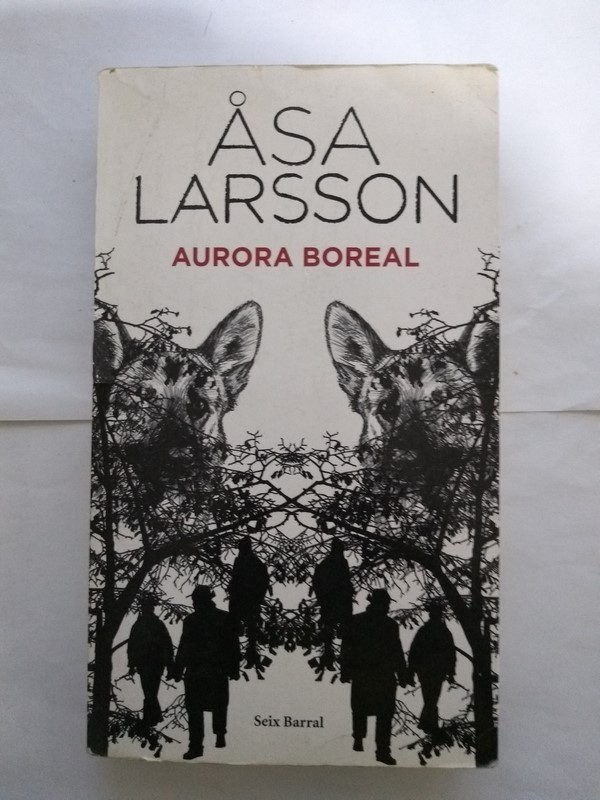 Aurora Boreal
