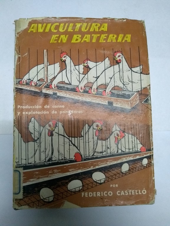 Avicultura en bateria