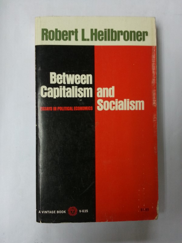 Between capitalism and socialism