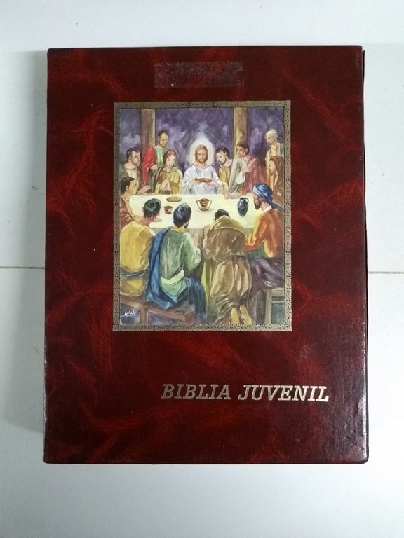 Biblia juvenil. Nuevo Testamento