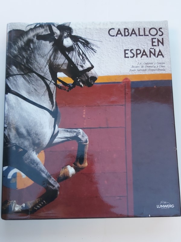 Caballos en España