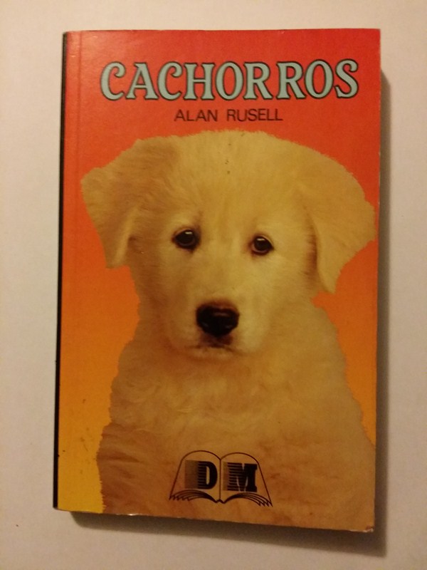 Cachorros