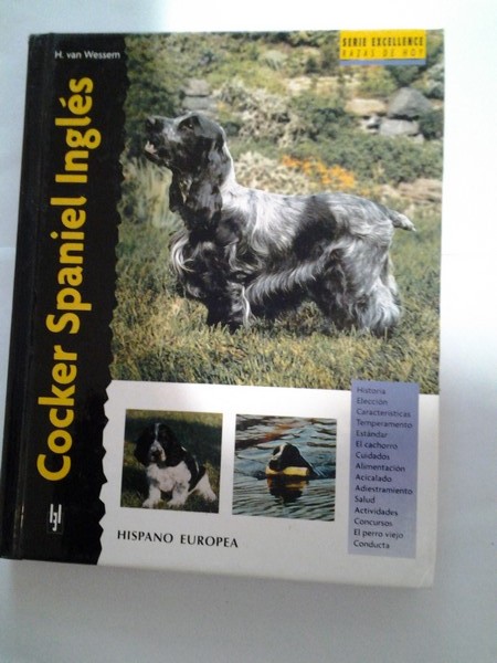 Cocker Spaniel Ingles