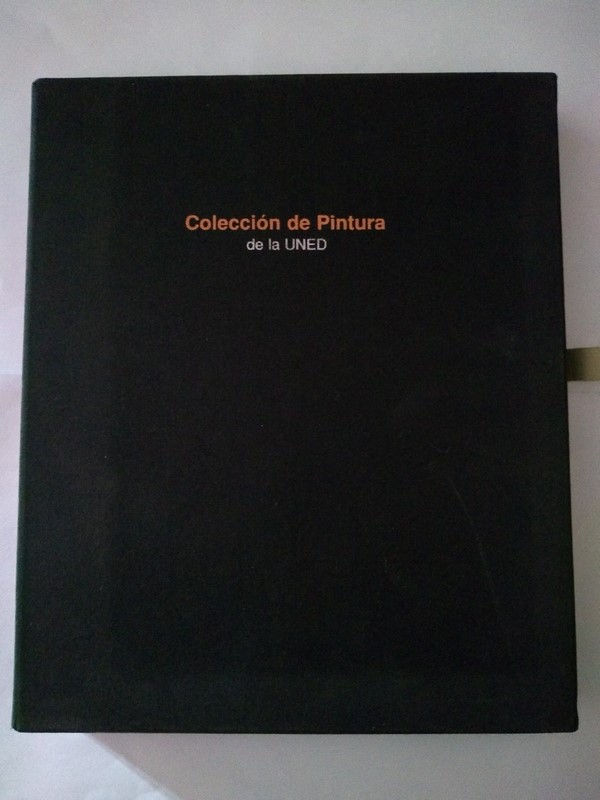 Coleccion de Pintura de la Uned