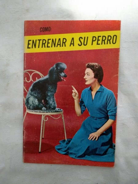 Como entrenar a su perro
