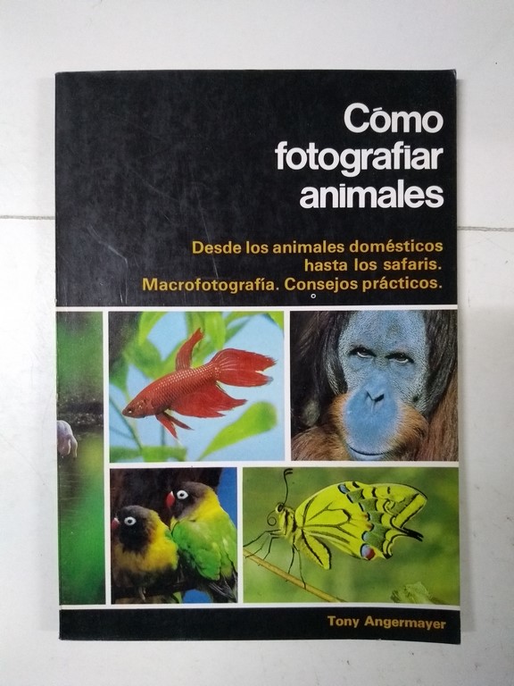 Cómo fotografiar animales