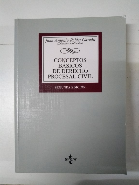 Conceptos Básicos de Derecho Procesal Civil