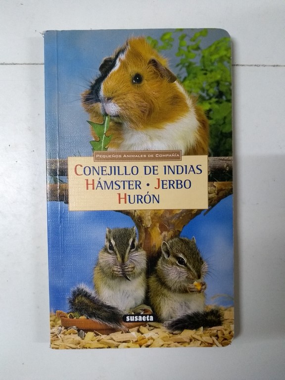 Conejillo de Indias: Hámster, Jerbo, Hurón