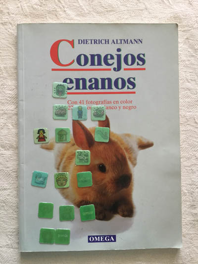 Conejos enanos