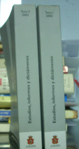 CONSEJO GENERAL DEL PODER JUDICIAL: ESTUDIOS, INFORMES Y DICTAMENES (2004).