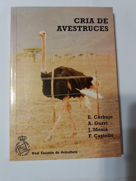 Cria de avestruces