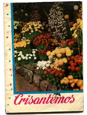 CRISANTEMOS.