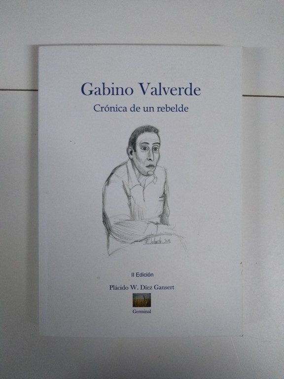 Crónica de un rebelde