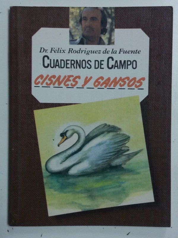 Cuadernos de campo. Cisnes y gansos