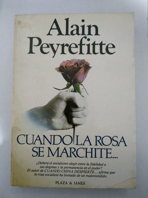 Cuando la rosa se marchite...