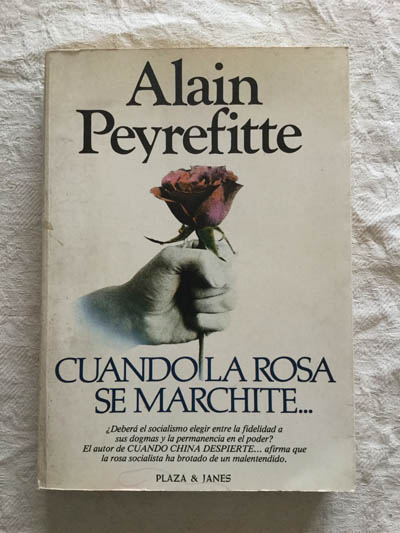 Cuando la rosa se marchite…