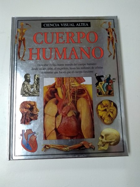 Cuerpo humano