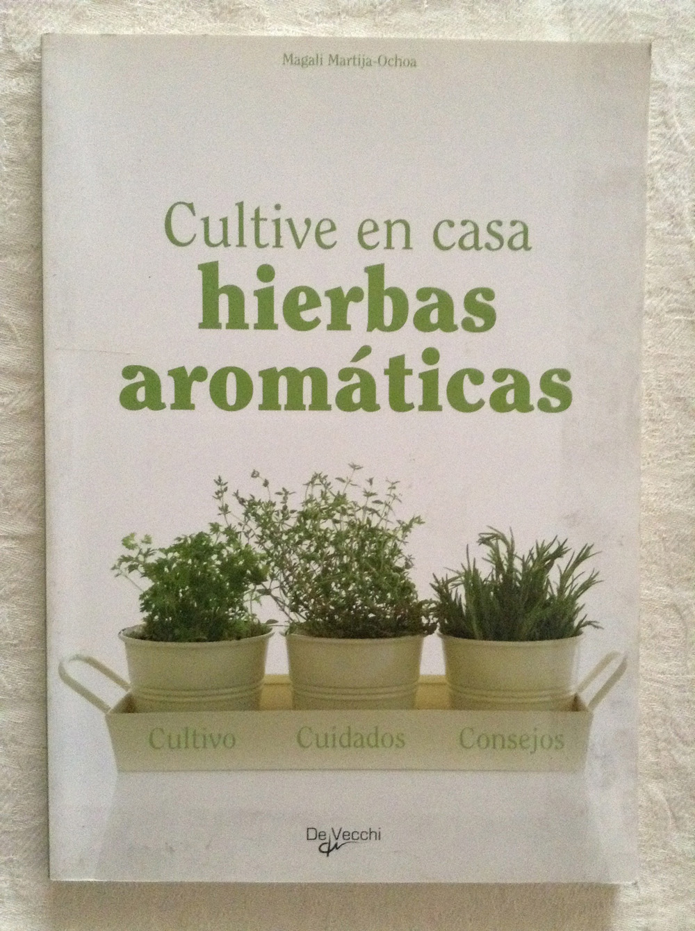 Cultive en casa hierbas aromáticas