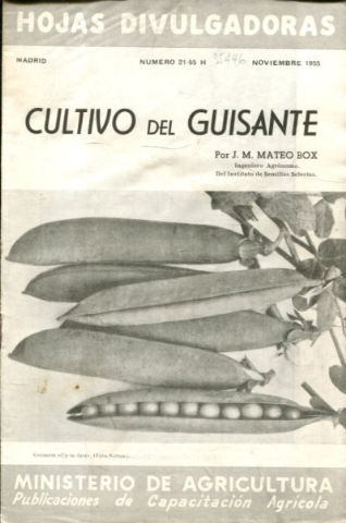 CULTIVO DEL GUISANTE.