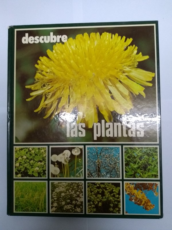Descubre las plantas