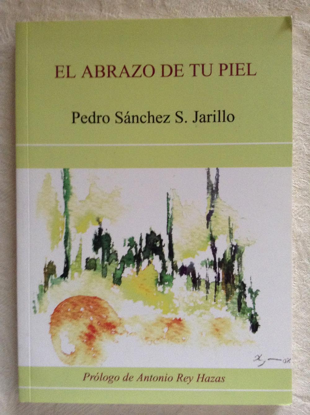 El abrazo de tu piel