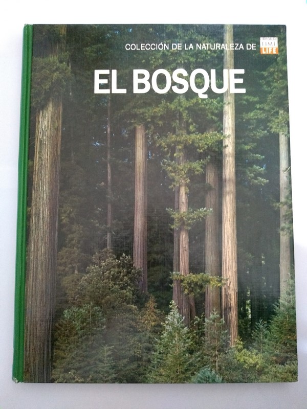 El bosque