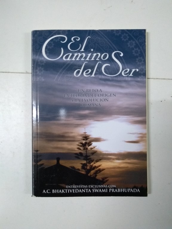 El Camino del Ser