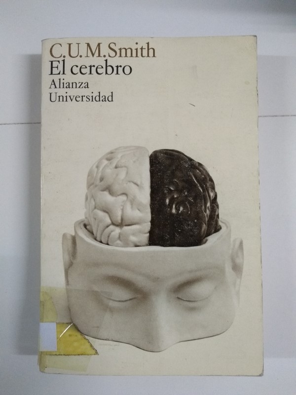 El cerebro