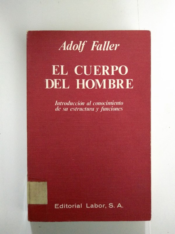 El cuerpo del hombre