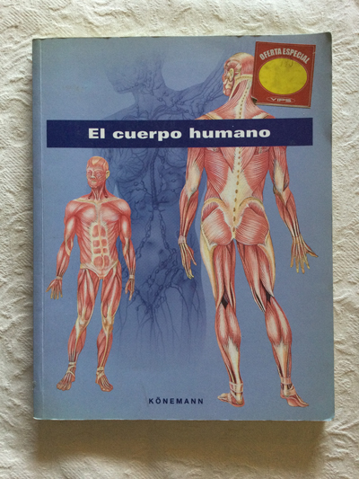 El cuerpo humano