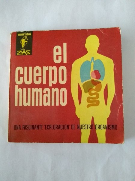 El cuerpo humano