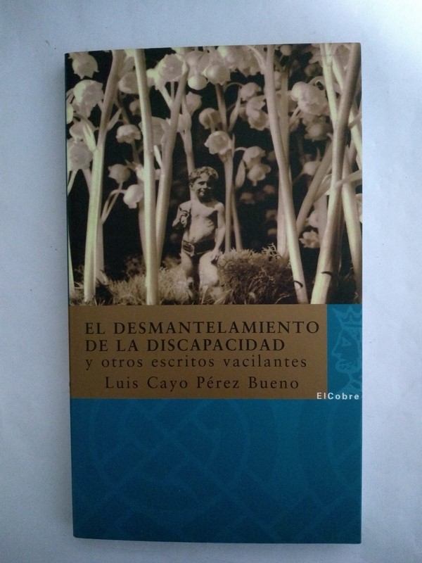 El desmantelamiento de la discapacidad