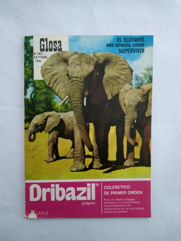 El elefante nos enseña como supervivir. Dribazil. Nº 147