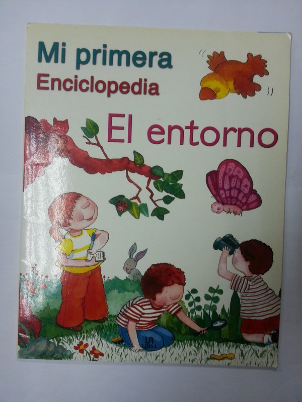 El entorno