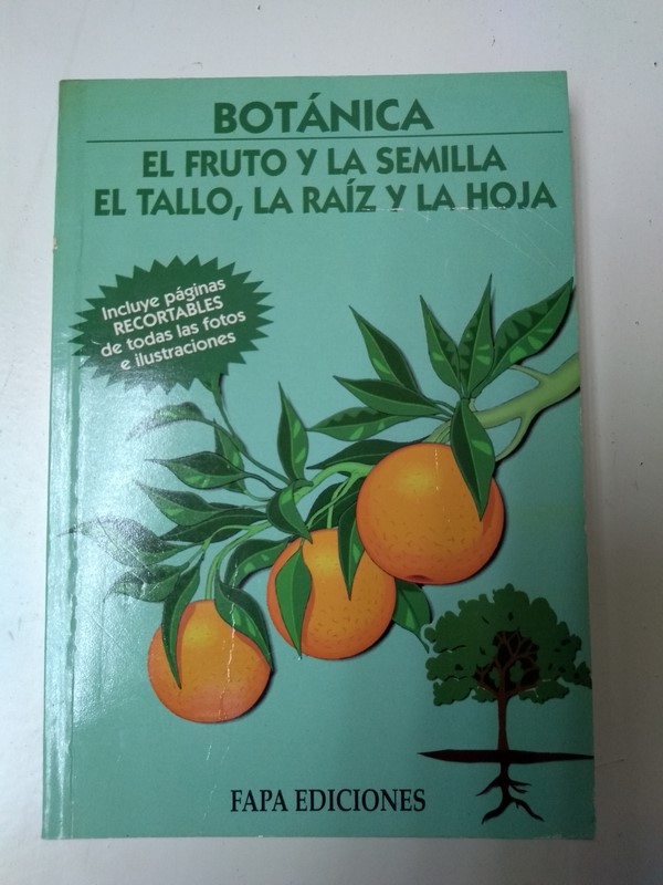 El fruto y la semilla. El tallo, la raiz y la hoja
