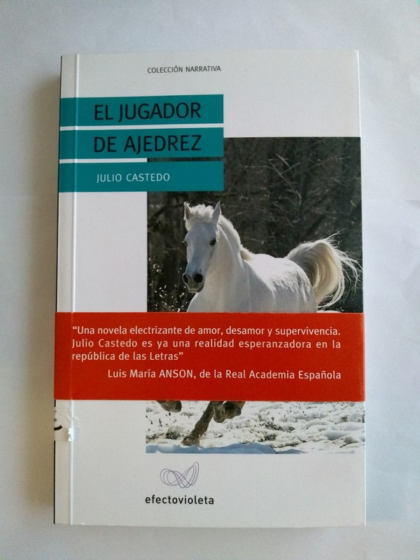 El jugador de ajedrez