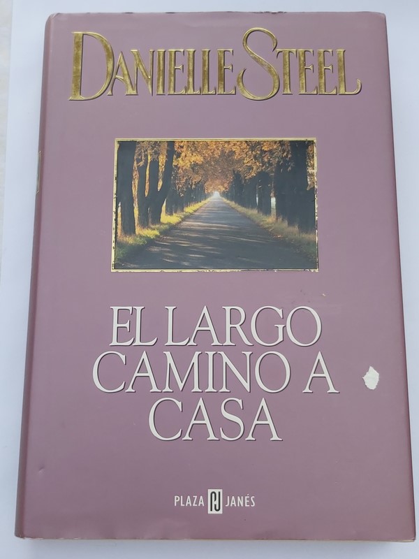 El largo camino a casa