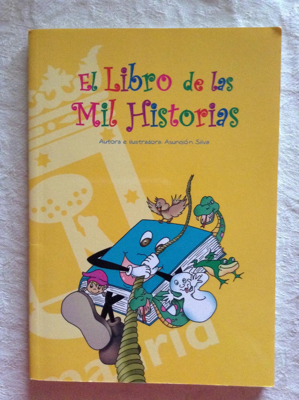 El libro de las mil historias