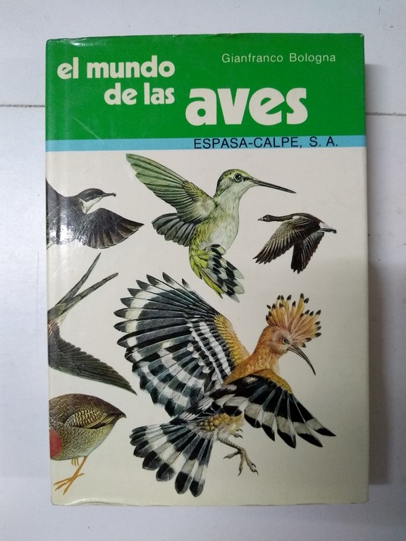 El mundo de las aves