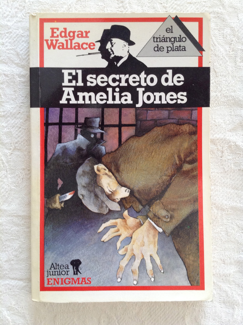 El secreto de Amelia Jones