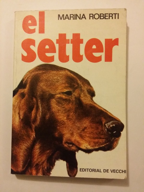 El setter